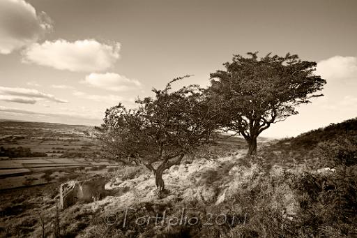 slemish 1954.jpg